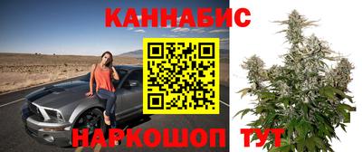 сатива Сланцы