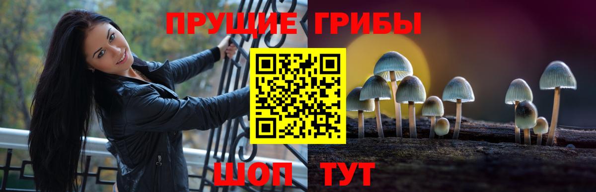 Омск  Псилоцибиновые грибы прущие грибы  Вход с VPN 