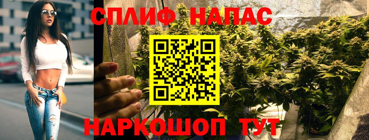Шишки марихуана конопля  Бошки марихуана OG Kush  Вход с VPN  Омск 